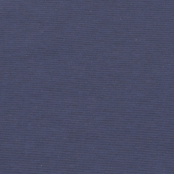 シンプルネイビー